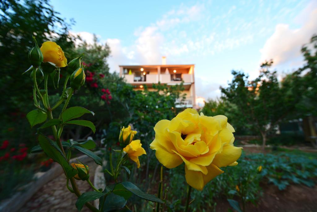 Apartments Silvana Sunset View Zadar Extérieur photo